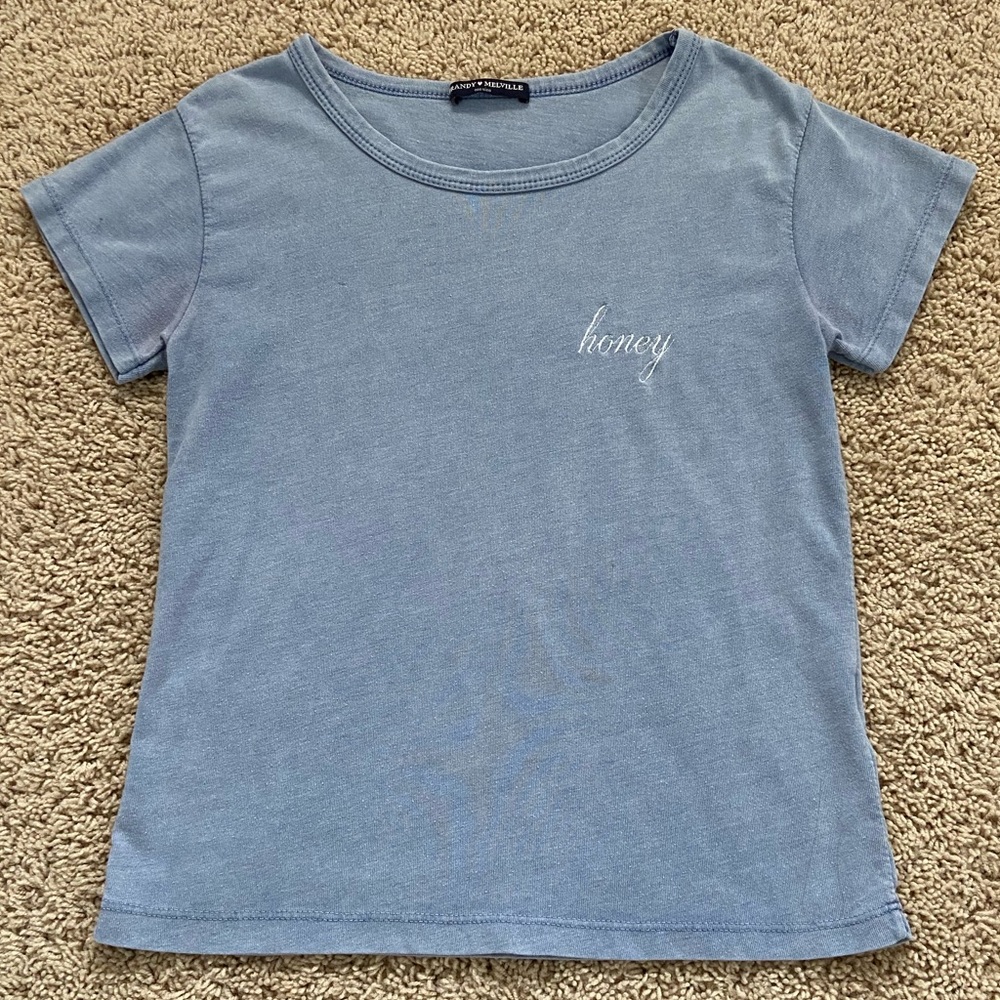 Brandy Melville blue honey cropped t shirt